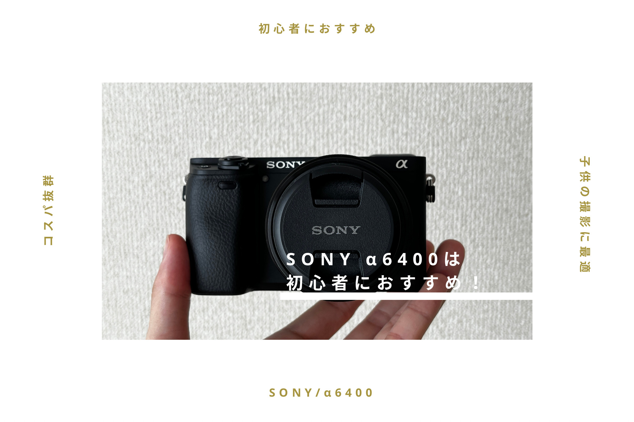 【初心者におすすめ】2019年に発売されたSONY a6400は今でも現役だった